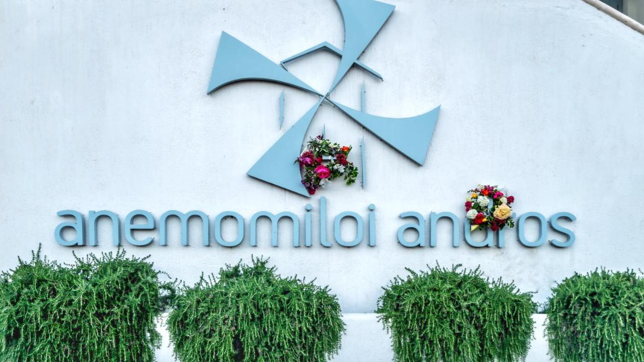 Anemomiloi Andros Hotel Bagian luar foto
